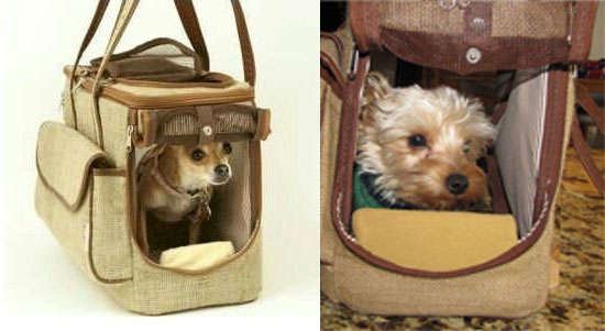 stylish dog carriers